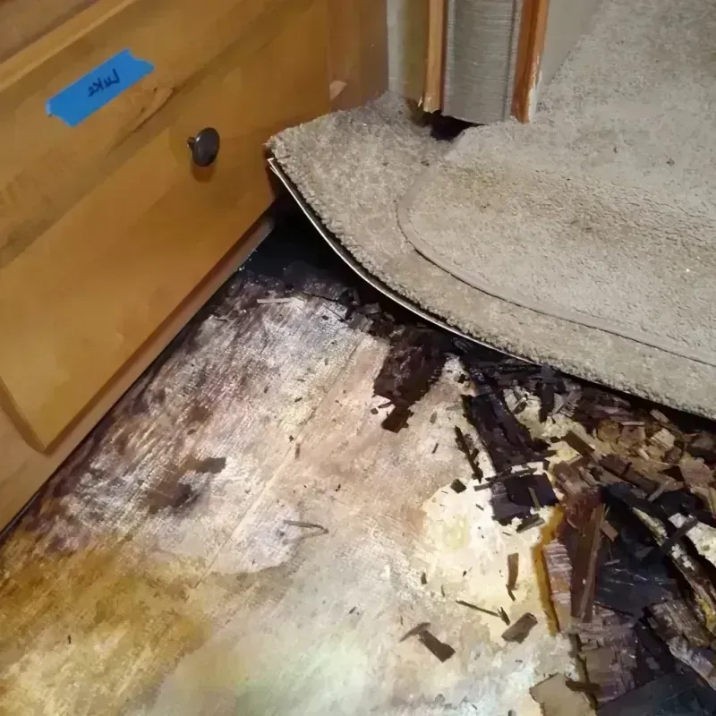 Wood Floor Water Damage in Flat Rock, MI